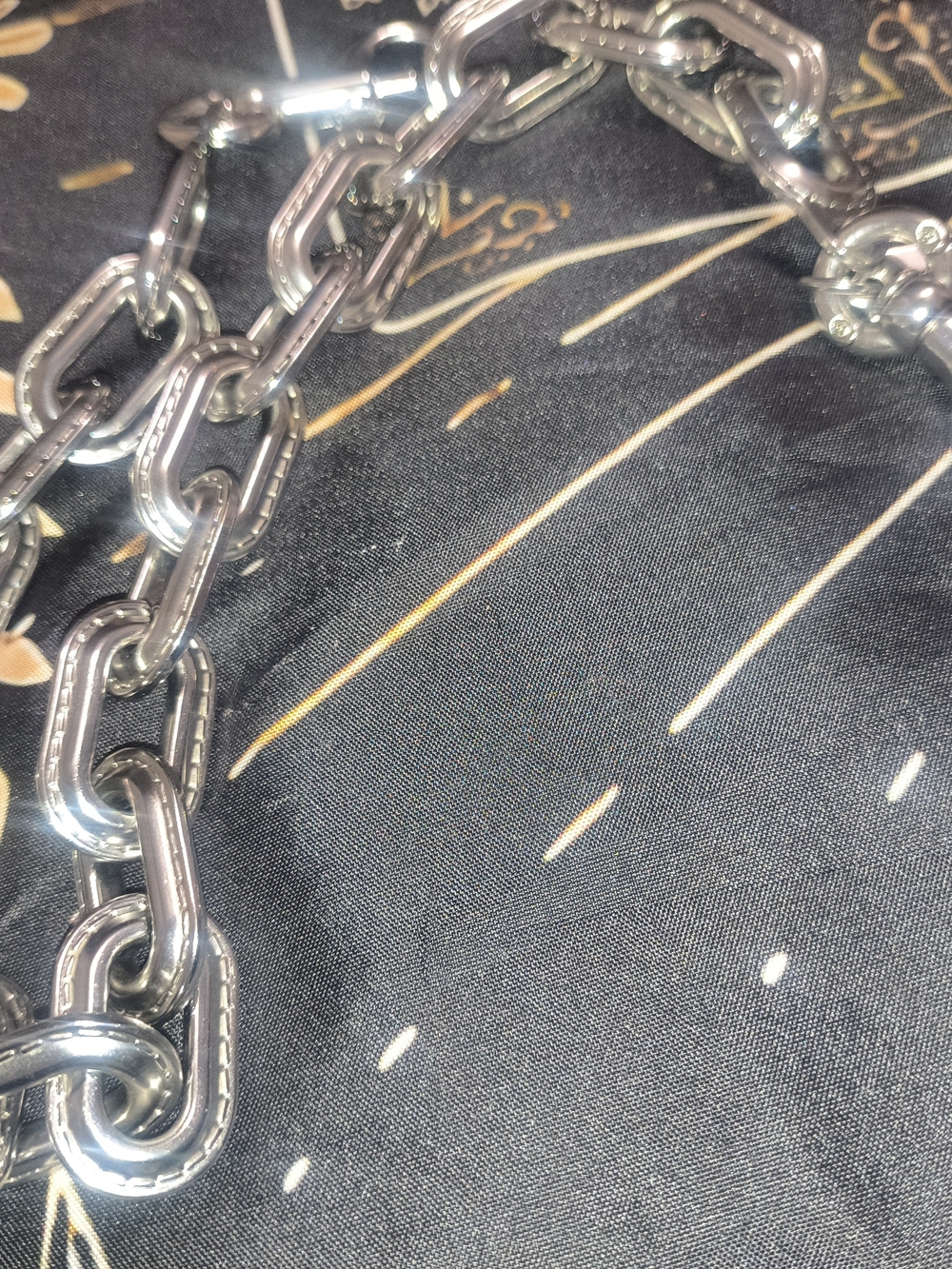 Coach Link Chain Strap